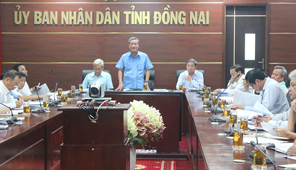 Chủ tịch UBND tỉnh Đinh Quốc Thái phát biểu tại cuộc họp. 