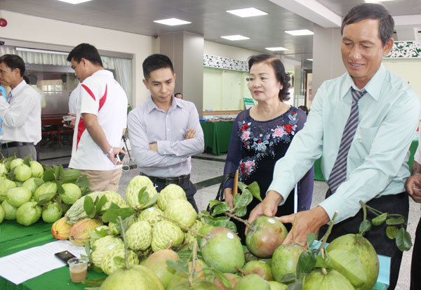 Trái cây sạch của Tổ hợp tác trái cây sạch Lộc Mai (huyện Định Quán) thu hút khách hàng quan tâm tại hội thảo xúc tiến thương mại tại Đồng Nai