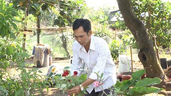 Ông Tô Ngọc Hải (ấp Trung Hưng, xã Xuân Trường) đang chăm sóc cây cảnh