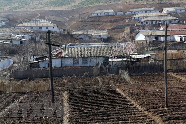Đất trồng trọt khô hạn tại Nampho, tỉnh Nam Phyongan, Triều Tiên. (Nguồn: AFP/TTXVN)