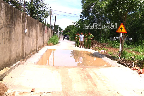 Hố sát trùng trên đường do người dân ở xã Gia Tân 2 (huyện Thống Nhất) làm để khử trùng các xe ra vào trại chăn nuôi heo. Ảnh: V.NHUỆ