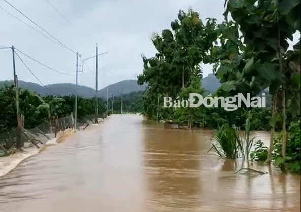 Lũ tràn về khiến đường sá tại xã Nam Cát Tiên (huyện Tân Phú) tê liệt
