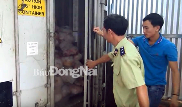 Lực lượng chức năng kiểm tra một container chứa thịt heo, thịt gà không rõ nguồn gốc. (Ảnh: CTV)