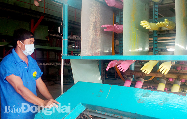 Sản xuất găng tay cao su xuất khẩu tại Công ty TNHH Nam Long, huyện Long Thành