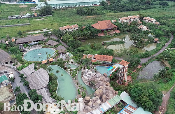 'Khi nhìn bệnh nhân hồi phục, tôi đã thôi băn khoăn về hạnh phúc của mình'