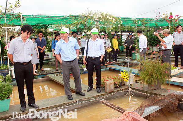 Đoàn giám sát của HĐND tỉnh kiểm tra một hộ nuôi cá bè tại phường Hiệp Hòa (TP.Biên Hòa)