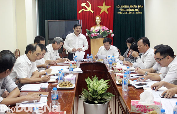 Phó chủ tịch HĐND tỉnh Nguyễn Sơn Hùng phát biểu tại buổi làm việc