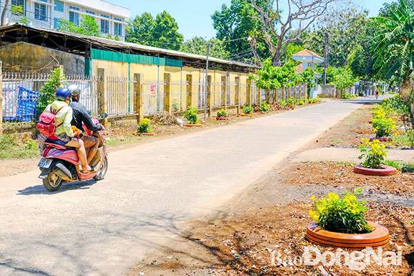 Các bồn hoa làm bằng vỏ xe ô tô đã qua sử dụng làm đẹp thêm các con đường nông thôn của xã Quang Trung (huyện Thống Nhất). Ảnh: M.Thành