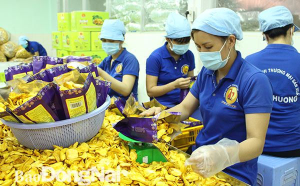 Sản xuất trái cây sấy tiêu thụ trong nước và xuất khẩu tại Công ty TNHH thương mại sản xuất Thuận Hương (xã Phú Túc, huyện Định Quán). Ảnh: H.Lộc