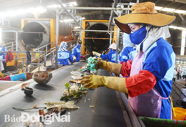 Phân loại rác thải sinh hoạt trước khi đưa vào xử lý tại Khu xử lý rác ở xã Quang Trung (huyện Thống Nhất). Ảnh: P.Tùng