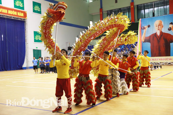 Biểu diễn múa rồng của Đoàn lân sư rồng Tam Hòa Đường tại lễ khai mạc