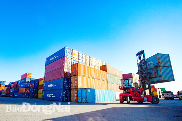 Hệ thống cảng đồng bộ sẽ giúp dịch vụ logistics có cơ hội phát triển mạnh Trong ảnh: Bốc dỡ hàng hóa tại Cảng Long Bình Tân, một trong những cảng chuyên dùng cho tàu tổng hợp, container