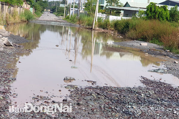Mùa mưa, nhiều đoạn mặt đường Chu Mạnh Trinh lầy lội, ngập nước khiến việc đi lại của người dân gặp khó khăn