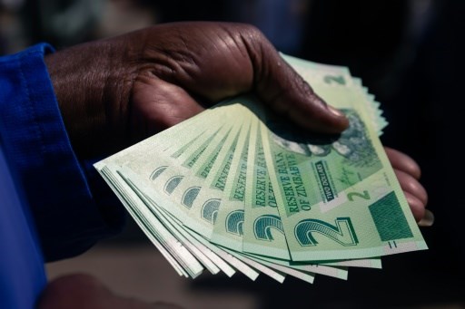 Đồng tiền mới của Zimbabwe. (Nguồn: AFP)