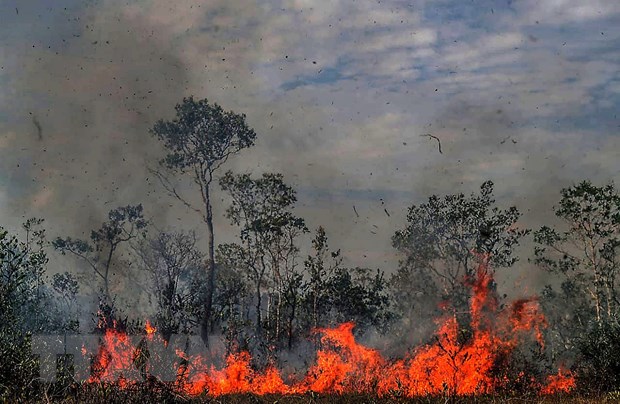 Khói lửa bốc cao trong vụ cháy rừng tại Amazonas,Brazil ngày 26-8. (Nguồn: THX/TTXVN)