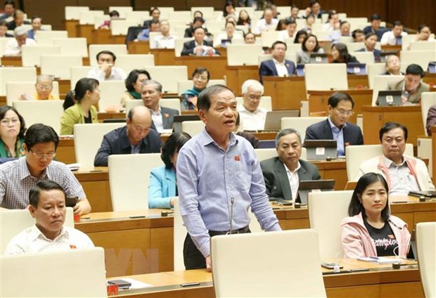  Đại biểu Quốc hội tỉnh Cà Mau Lê Thanh Vân phát biểu. (Ảnh: Phương Hoa/TTXVN)
