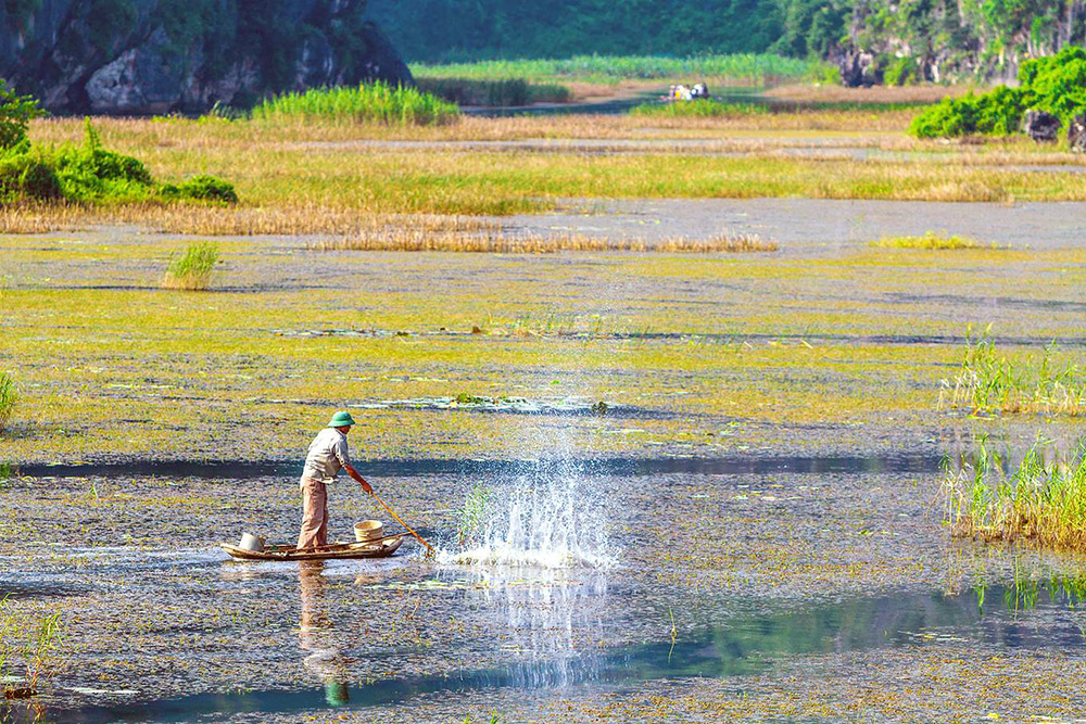 Không chỉ là khu bảo tồn thiên nhiên ngập nước nổi tiếng trên bản đồ du lịch Ninh Bình, đầm Vân Long còn có nhiều cảnh quan và di tích văn hóa. Đầm nước này sở hữu 2 kỷ lục Việt Nam, gồm 