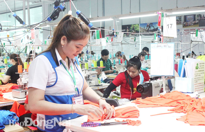 Sản xuất quần áo xuất khẩu tại Khu công nghiệp Amata (TP.Biên Hòa). Ảnh: Hương Giang
