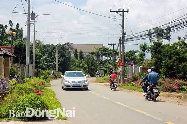 Tuyến đường xanh - sạch - đẹp tại xã Thanh Sơn (huyện Định Quán). Ảnh: B.Nguyên
