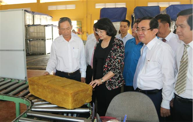 Phó chủ tịch nước Đặng Thị Ngọc Thịnh thăm nhà máy chế biến mủ cao su của Tổng công ty cao su Đồng Nai