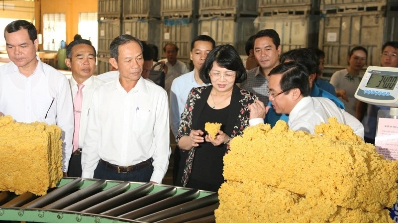 Vice President Dang Thi Ngoc Thinh at a latex processing factory of Dong Nai Rubber Corporation (Photo: VNA)