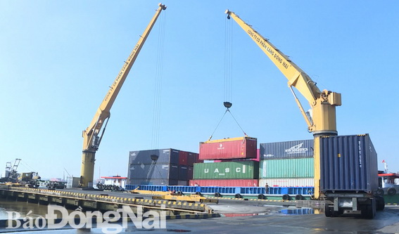 Bốc xếp Container tại Cảng Long Bình Tân