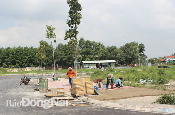 Dự án Khu dân cư phường Tam Phước (TP.Biên Hòa) được rao bán đất nền khi nhà đầu tư chưa làm xong hạ tầng và chưa có sổ hồng từng nền. Ảnh: U.NHI
