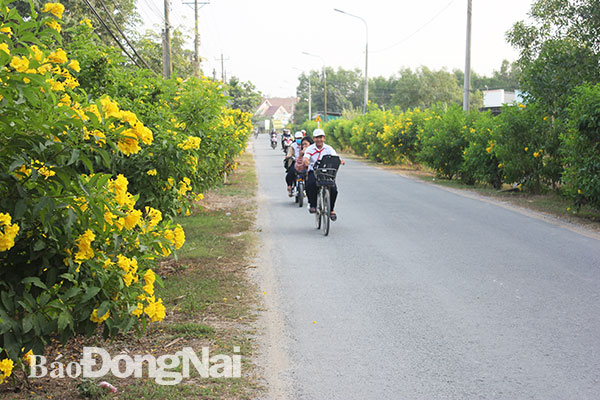 Tuyến đường sáng - xanh - sạch - đẹp tại xã Bình Lợi (huyện Vĩnh Cửu). Ảnh: B.Nguyên