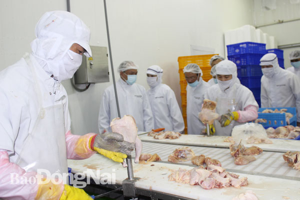 Sơ chế gà xuất khẩu tại Công ty TNHH Koyu & Unitek tại Khu công nghiệp Long Bình, TP.Biên Hòa. Ảnh: B.Nguyên