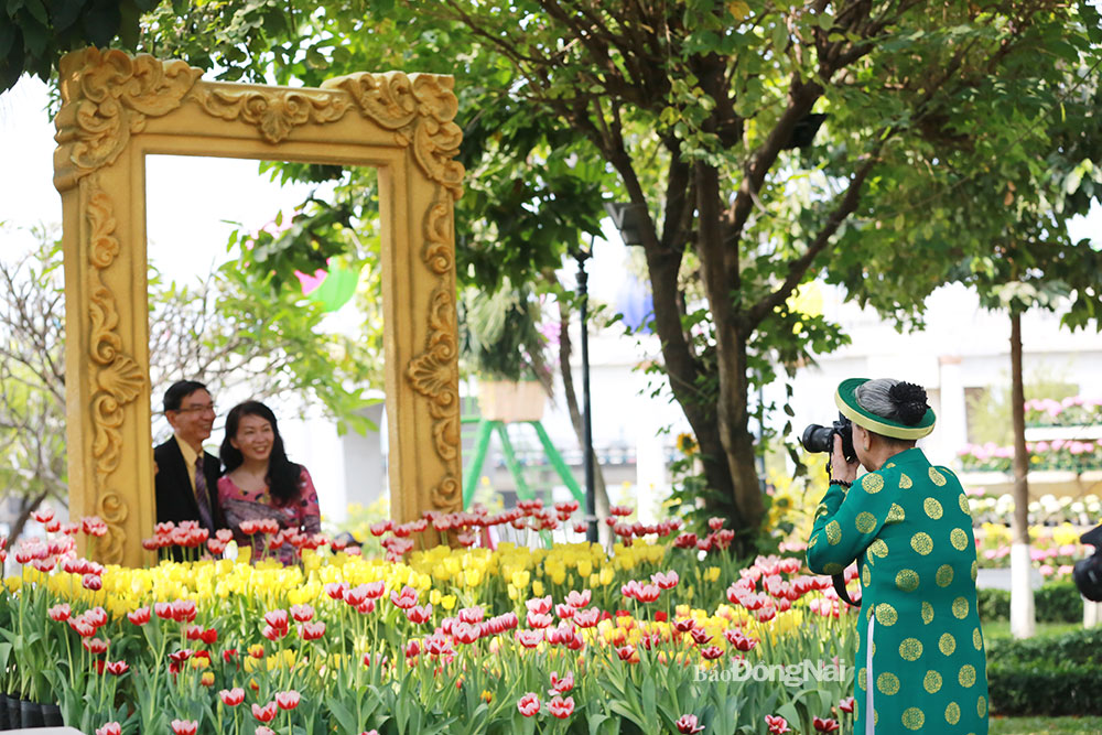 ...chụp hình lưu niệm tại đường hoa phố đi bộ đường Nguyễn Văn Trị