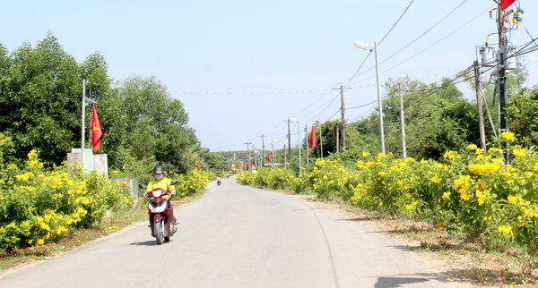 Đường nông thôn tại xã Bình Lợi, xã đạt chuẩn nông thôn mới kiểu mẫu đầu tiên của tỉnh