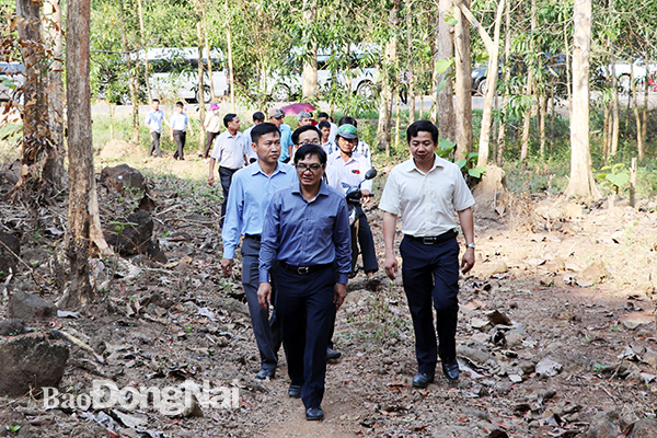 Phó chủ tịch HĐND tỉnh Nguyễn Sơn Hùng kiểm tra rừng tại H.Định Quán