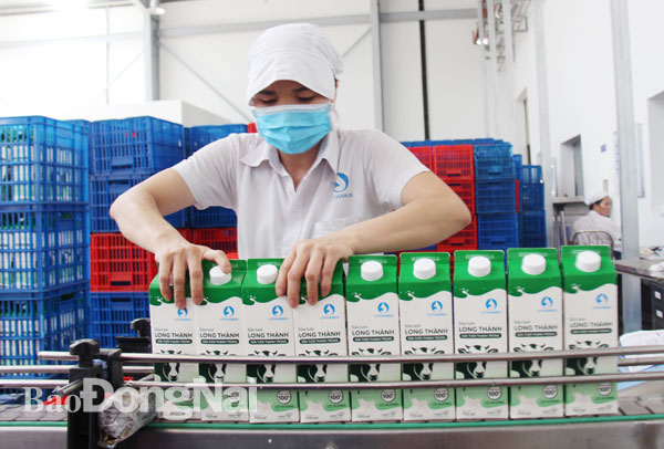 Quy trình sản xuất sữa tươi thanh trùng tại nhà máy sữa của Công ty cổ phần Lothamilk (TP.Biên Hòa) Ảnh: HẢI QUÂN