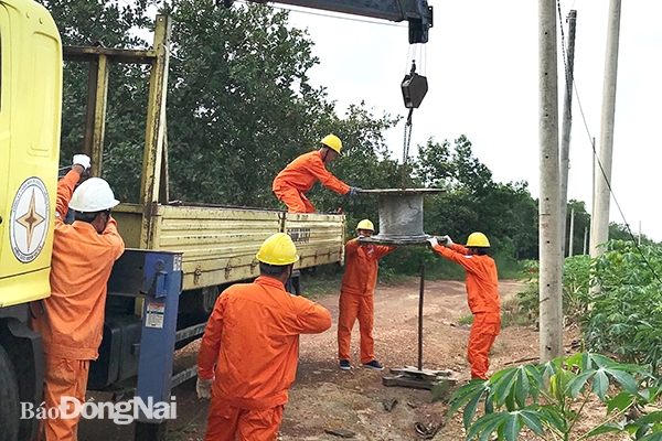 Ngành điện chuẩn bị kéo đường dây trung thế lưới điện nông thôn tại xã Phú Ngọc, H.Định Quán