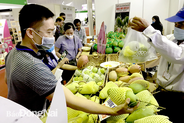 Trái xoài có cơ hội lớn xuất khẩu vào thị trường EU nếu đạt tiêu chuẩn về chất lượng. Trong ảnh: Khu trưng bày giới thiệu trái xoài của Việt Nam tại hội chợ quốc tế về công nghệ sản xuất, chế biến rau, hoa, quả (HortEx Việt Nam) tại TP.HCM. Ảnh:B.Nguyên