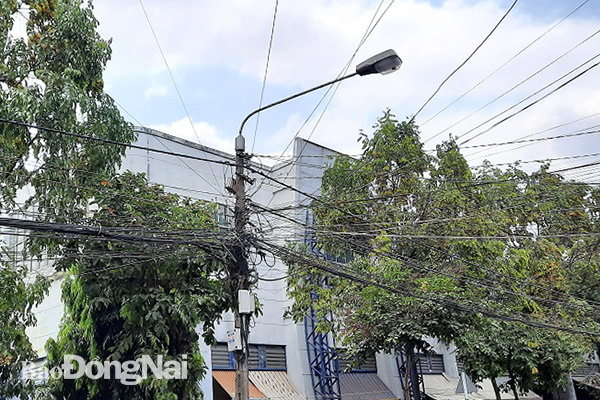 Ở một góc khác, dây cáp viễn thông, điện lực chằng chịt cùng hướng về một cột điện nhỏ trong khu vực chợ Biên Hòa