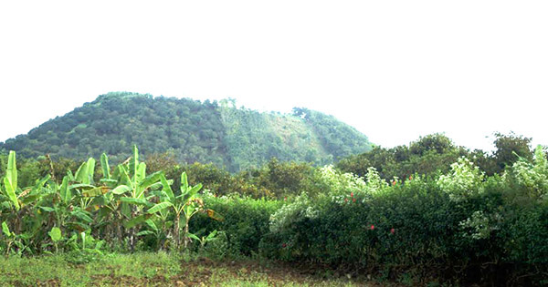 Dấu tích núi lửa vùng Gia Kiệm. Ảnh: TL mapio.net