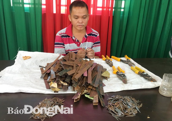 Đối tượng Phạm Bá Quang bị bắt cùng hàng trăm đinh mà đối tượng dùng để rải xuống đường.