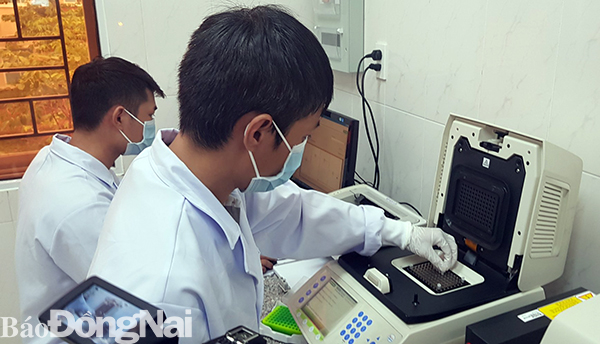 Bác sĩ thực hiện xét nghiệm virus SARS-CoV-2 tại Trung tâm kiểm soát bệnh tật tỉnh