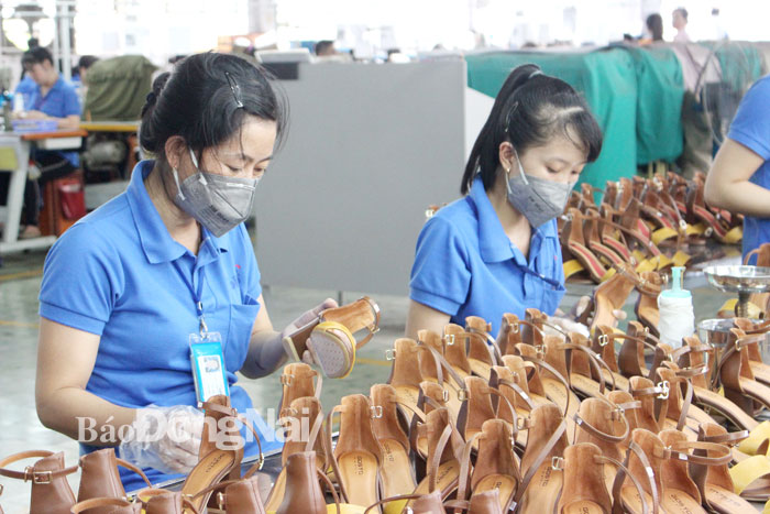Thay đổi tư duy sản xuất, đáp ứng tiêu chuẩn quốc tế là con đường duy nhất để doanh nghiệp phát triển. Trong ảnh: Sản xuất giày dép tại Công ty TNHH Bình Tiên (Biti’s) Đồng Nai.Ảnh: V.Gia