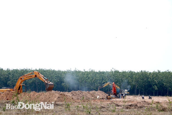 Máy móc cơ giới thi công hạng mục san nền tại khu tái định cư Lộc An - Bình Sơn. Ảnh:P. Tùng