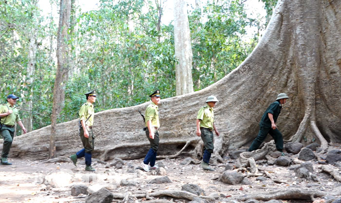 Các kiểm lâm viên của Trạm Kiểm lâm cơ động, thuộc Hạt Kiểm lâm Vườn quốc gia Cát Tiên đi tuần tra trong rừng. Ảnh: T.NHÂN