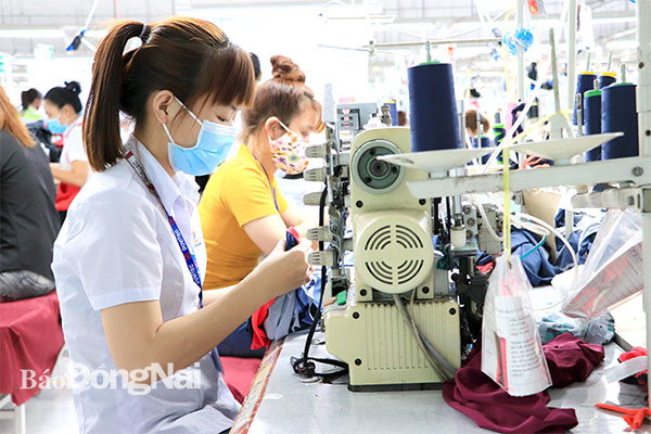 Sản xuất quần áo xuất khẩu vào thị trường EU của Công ty CP Đồng Tiến ở Khu công nghiệp Amata (TP.Biên Hòa). Ảnh: U.Nhi