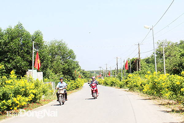 Khu vực phía Nam H.Vĩnh Cửu được định hình phát triển đô thị hóa nhưng vẫn giữ nét đặc trưng xanh - sạch - đẹp bình yên của vùng nông thôn