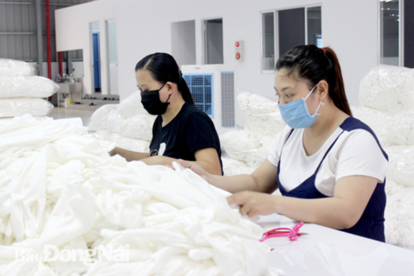 Sản xuất hàng may mặc xuất khẩu vào thị trường ASEAN tại một doanh nghiệp trong Khu công nghiệp Nhơn Trạch 3 (H.Nhơn Trạch). Ảnh:K. Minh