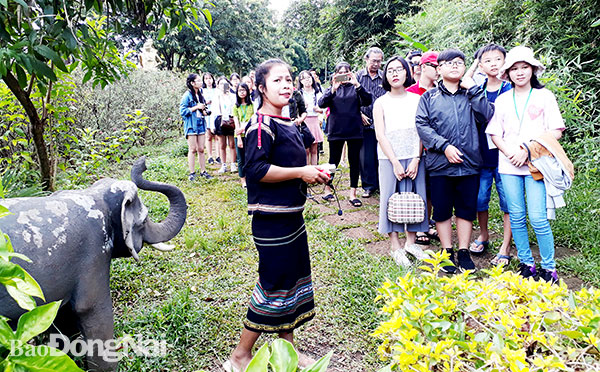 Các trại sinh tham gia Trại sáng tác Thơ văn tuổi học trò tỉnh Đồng Nai đi thực tế tại TP.Buôn Ma Thuột, tỉnh Đắk Lắk