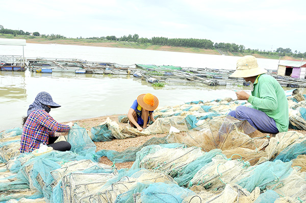 Vào mùa đánh bắt thủy sản, gia đình ông Nguyễn Văn Tài (ngụ ấp 2, xã Mã Đà, H.Vĩnh Cửu) đều tham gia vá lưới cho các ngư dân