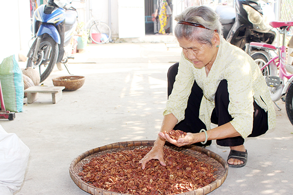 Bà Nguyễn Thị Lẹ,  chủ cơ sở chế biến cau sấy khô ở xã Phú Hội (H.Nhơn Trạch) phân loại hạt cau khô bán cho thương lái