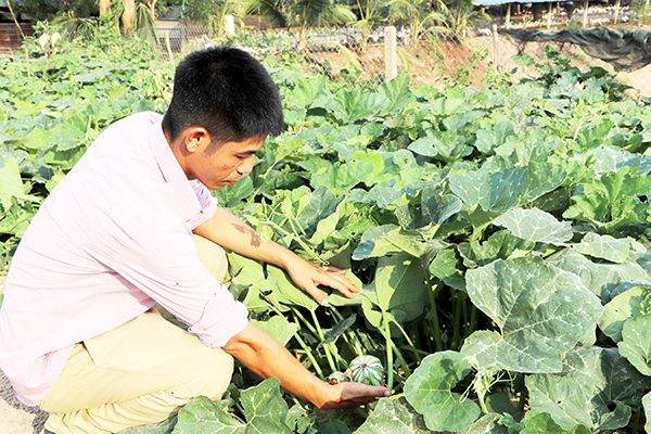 Trong vườn của ông Trần Thanh Tùng tại xã Mã Đà (H.Vĩnh Cửu) được trồng xen canh nhiều loại hoa, rau, đậu. Ảnh: B.Nguyên