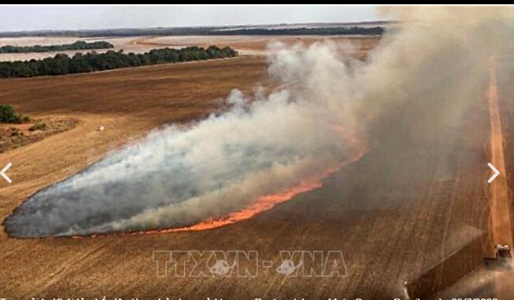 Khói bốc lên từ hỏa hoạn ở vùng Pantanal, bang Mato Grosso, Brasil ngày 1-8